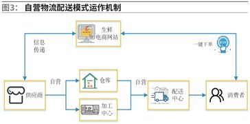 京津冀地区生鲜农产品冷链物流配送模式研究